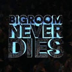 Bigroom Never Dies
