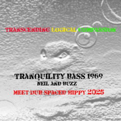 Tranquility Bass 1969 Neil and Buzz meet Dub spaced Hippy mix E3 master 2025