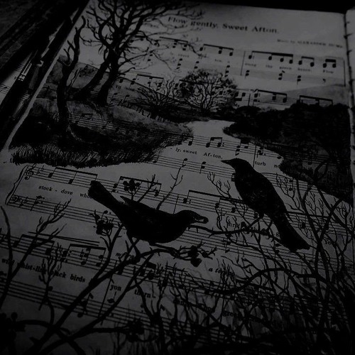 Streetlights Fade To Nothing [Feat. LoveDi3d]