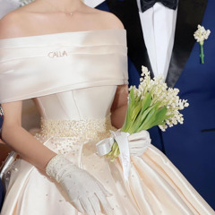Váy cưới của em chỉ như những bông tuyết《你的婚纱像雪花》Lý Pháp Phát