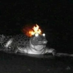 Shenanigans As Always