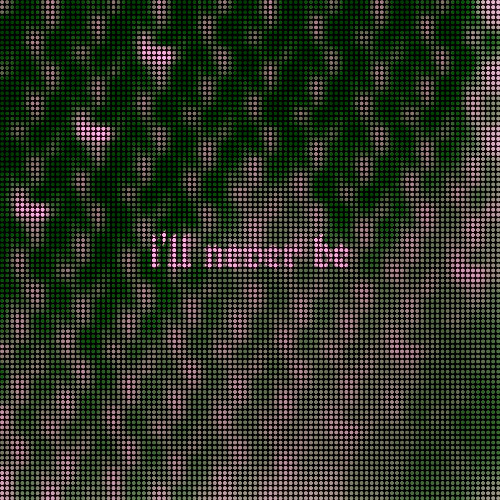 i'll never be