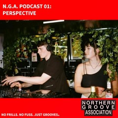 N.G.A Podcast: Volume 01 - PERSPECTIVE