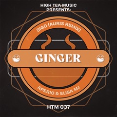 Aperio & Elisa MJ- Sigo (Auris Remix) [High Tea Music]