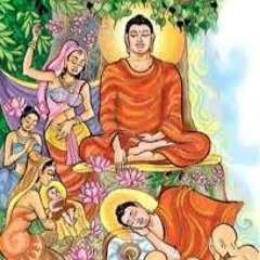 Wesak Poya Deshana 01 : 2024-05-23 (පටිච්චසමුප්පාදය-01)