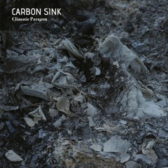 Carbon sink - Climatic paragon live