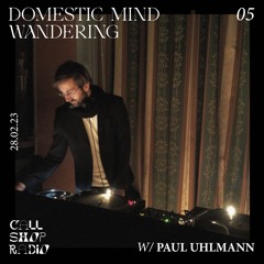 Domestic Mind Wandering w/ Paul Uhlmann 28.02.2023