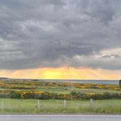 Commas - Ayra Starr (Ebubé Cover)