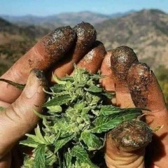 Karan_Khan_Sad_Tappy(128k)