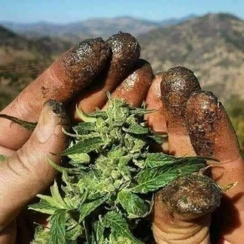 Karan_Khan_Sad_Tappy(128k)