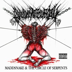 maddsnake and the circle of serpents - Imminent Burial (ALBUM OF THE YEAR BITCHE$$$)