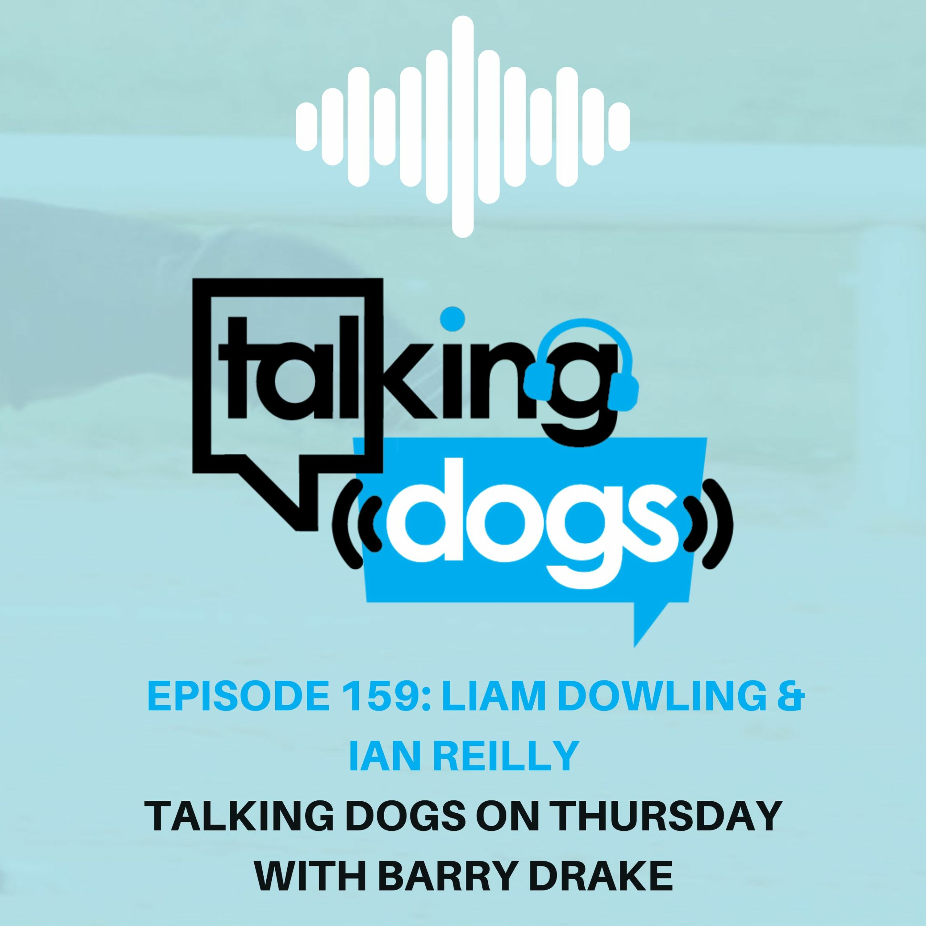 Talking Dogs on Thursday
