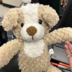 She’ll Never Be Me