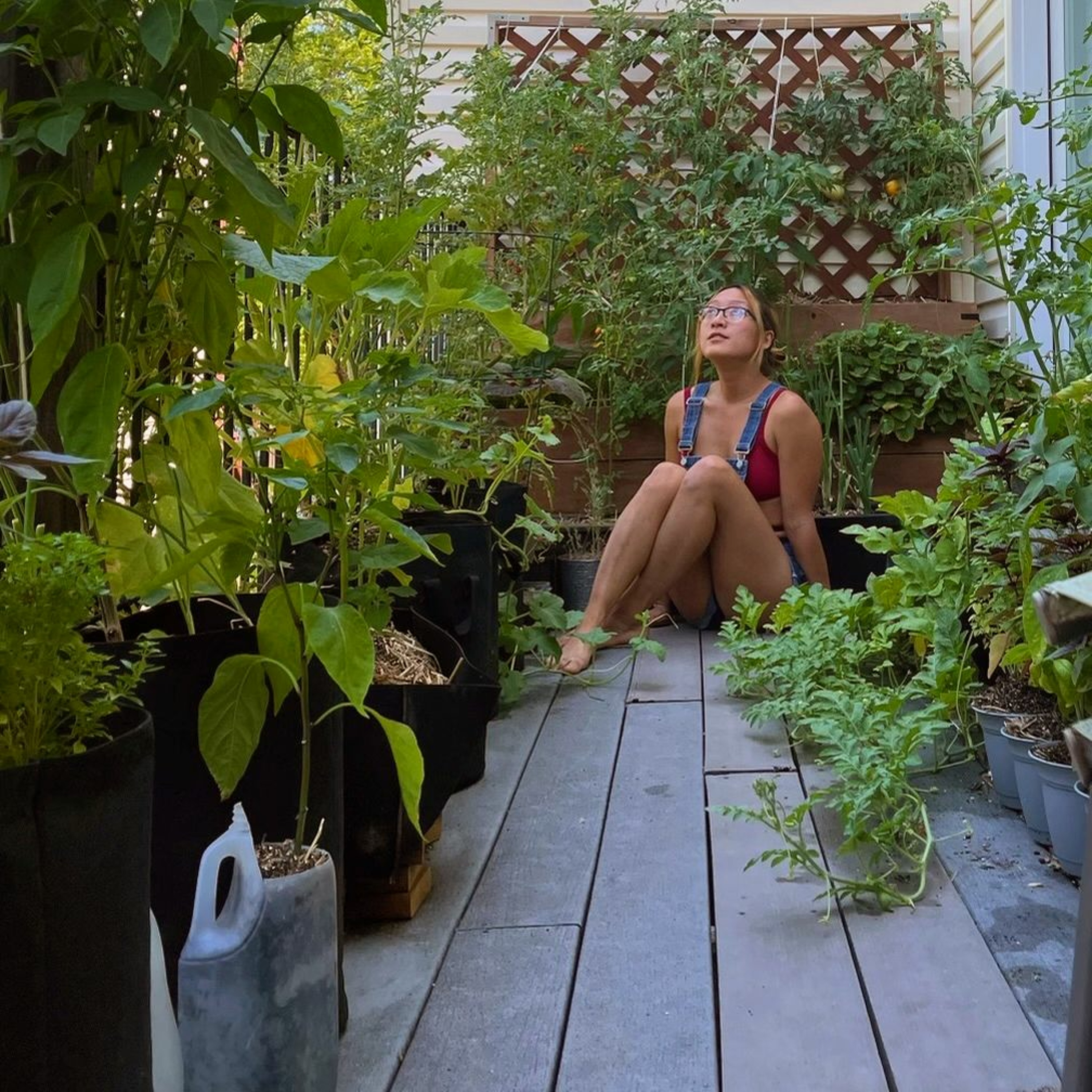 Seed Story Broadcasts