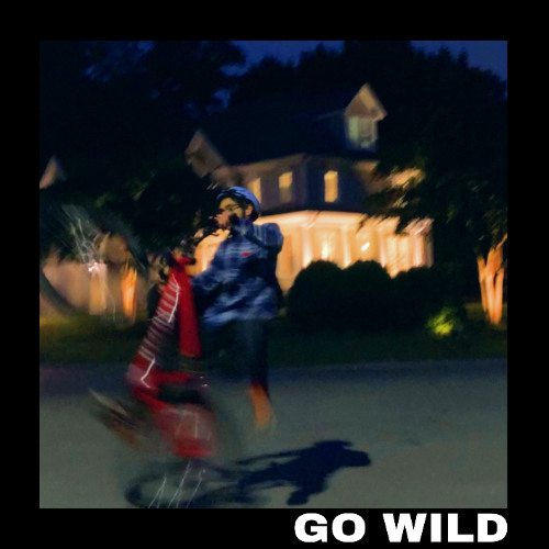 Go Wild