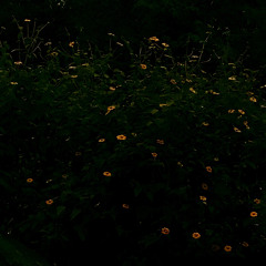 “todo está bien” (R&B) :(