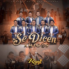 Se Dicen Amigos