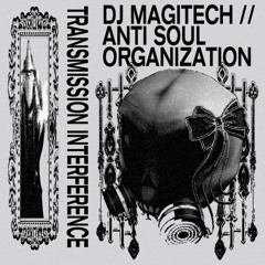 DJ Magitech - Man Falls Into Tiger Enclosure (GRAPHIC)
