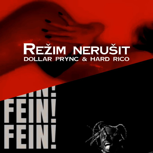 Travis Scott X Dollar Prync - FE!N X REZIM NERUSIT by Martin Sinty