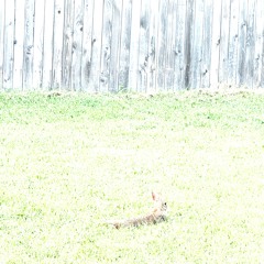 Từng nốt nhạc là lời yêu em chưa nói | Brett