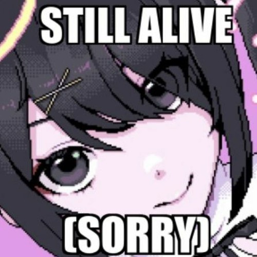 NEVER USING THIS