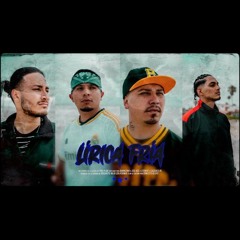 lirica fria.wav
