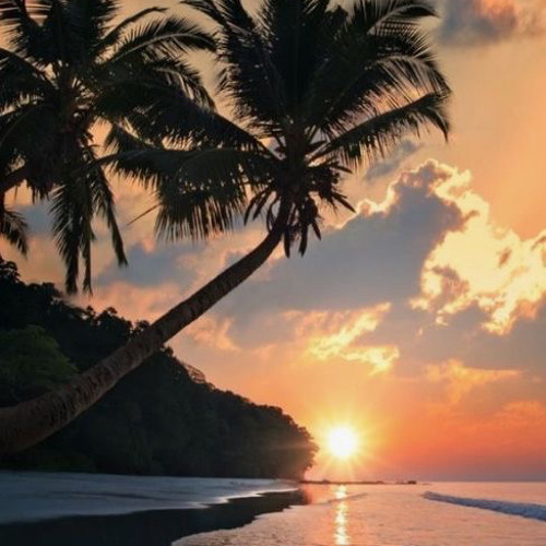 Smooth Jazz Saxophone Relaxing Background Music with the Sound of Ocean Waves