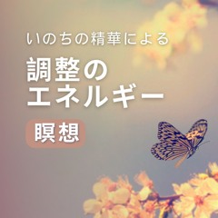 自己調整のためのいのちの精華・瞑想