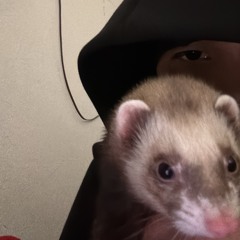 Home invasion (makkgin)