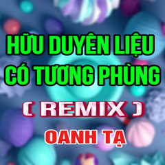 Hữu Duyên Liệu Có Tương Phùng (Duck Remix)