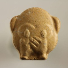 dunghoi (raw cut)