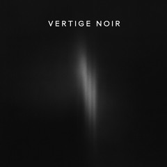 EVROX-Vertige Noir(Original Mix).mp3