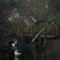 Beneath The Forest (feat. Fr. Harris)
