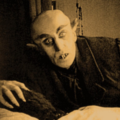 coffin of nosferatu