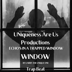 Larry The Unique One - Echos In A Trapped Window