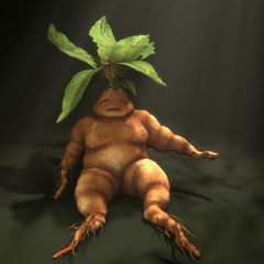 Mandrake Master w Voc