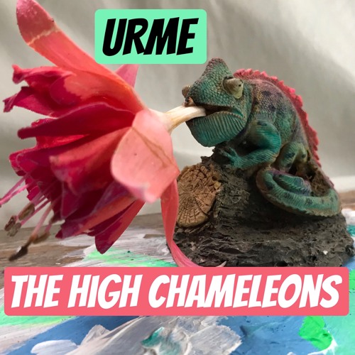 URMe (IMU)
