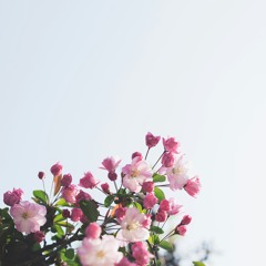 wither away.