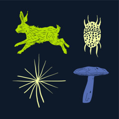Liminal Fields ~ sultry, sassy field rave