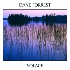 Dane Forrest - Hazy Loss Detachment