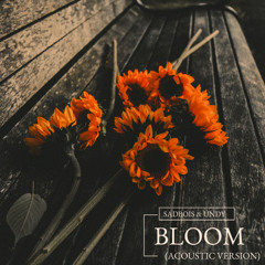 Bloom (Acoustic) [Future Generation Release]