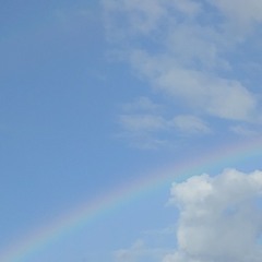 and in that very moment, everything became overwhelmingly clear