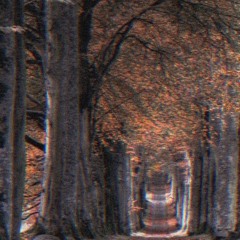 Colors Of You (Original) (Surprise Bonus)￼