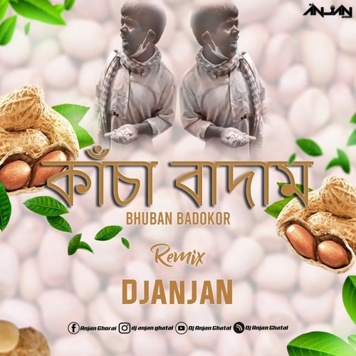 kacha badam song dj remix