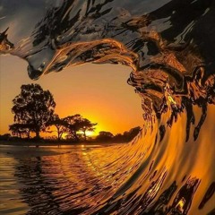 وعبادُ الرحمن الذين يمشون على الأرضِ هَونًا_ الشيخ رعد الكردي