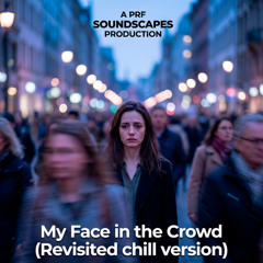 My Face in the Crowd (Revisited chill version)