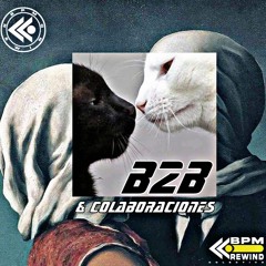 B2B Y COLABORACIONES