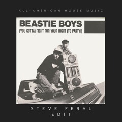 Fight For Your Right (STEVE FERAL's Tech House Edit)- Beastie Boys