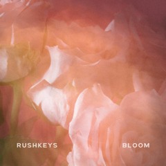 Rushkeys - Bloom