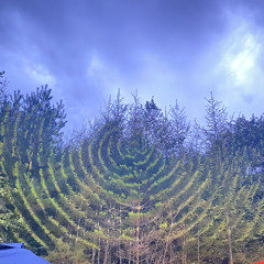 Mabudachi (Osaka Dub)